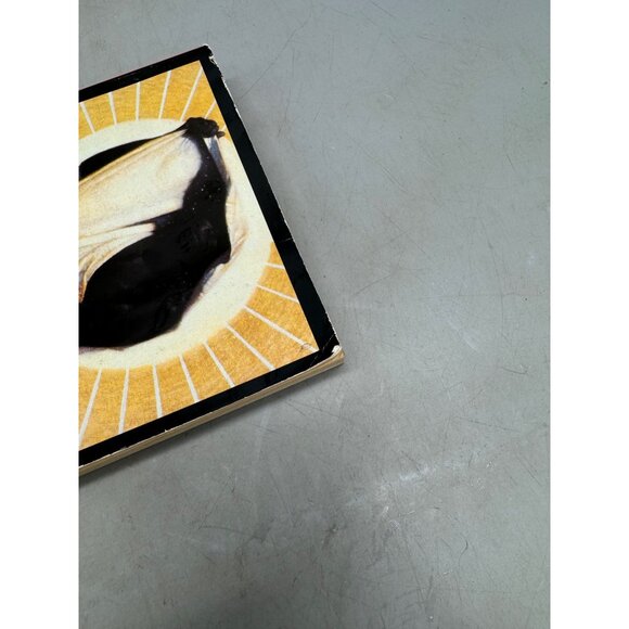 Song of Solomon book paperback 1987 english Plume 337pgs Toni Morrison READ - Picture 5 of 6